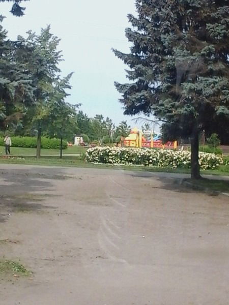 Владимир Полюхович