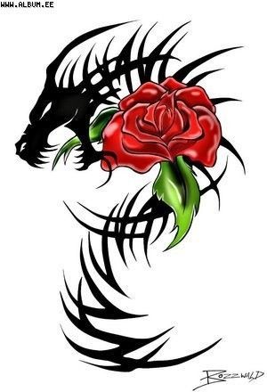 Александр Зеленкевич