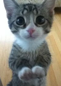 Ольга Козлова