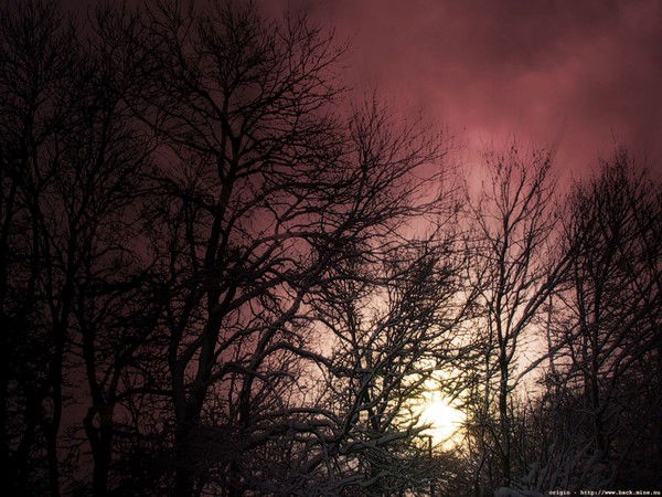 Татьяна Гунькина