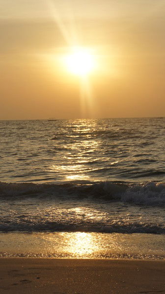 Анна Андержанова