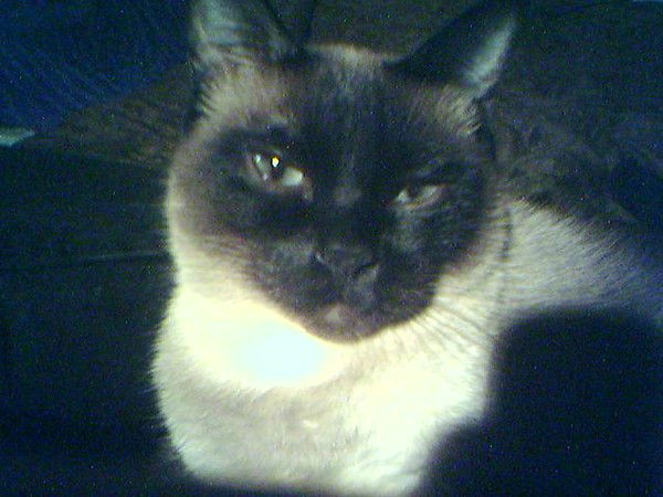 Сергей Сергеев