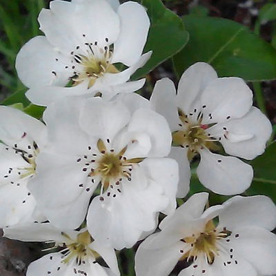 Кристина Митина