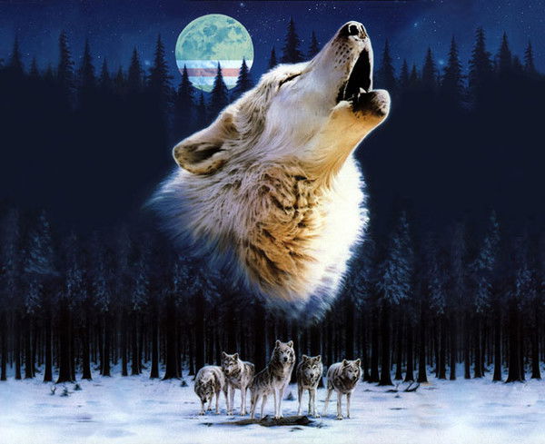 Роман Чубич