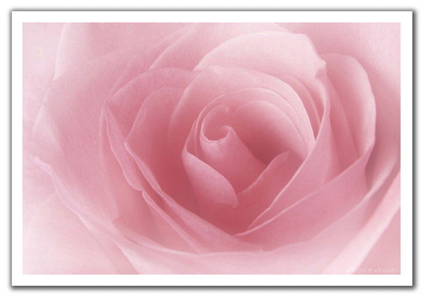 Марина Клабукова