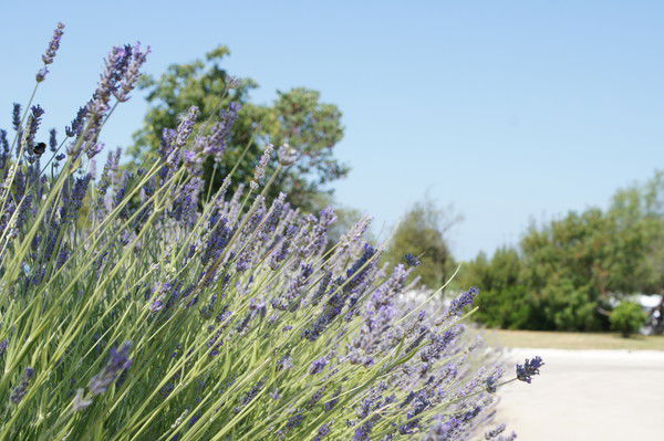 Дарья Игнатенкова