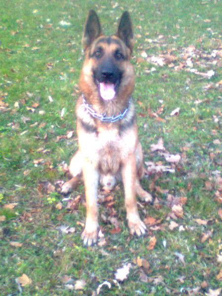 Инна Тертыченко