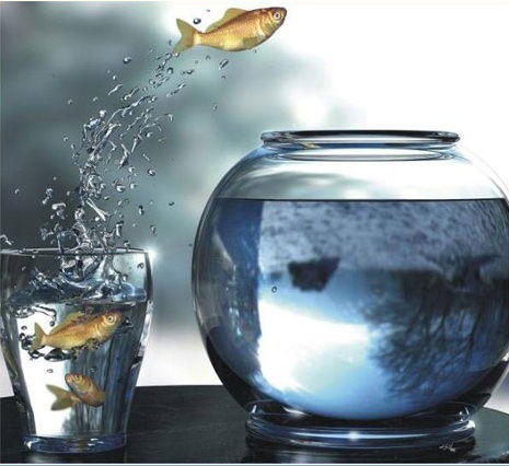 Инга Дубковецкая