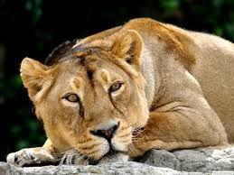 Лариса Барбашина