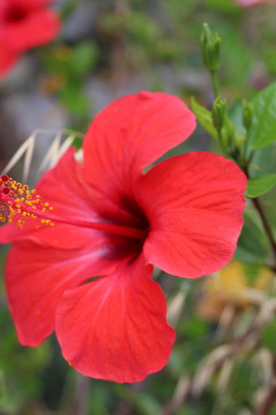 Алсу Кусербаева