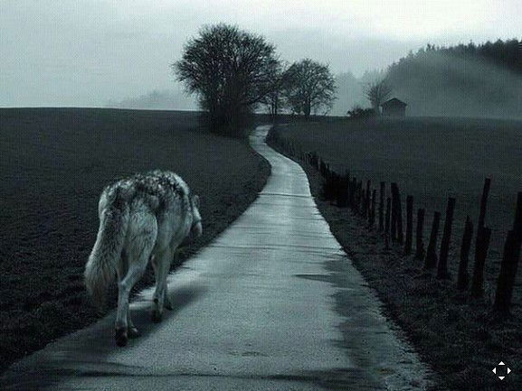 Лёха Пахоменко