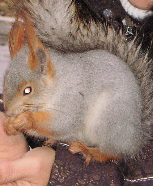 Тамара Субботкина