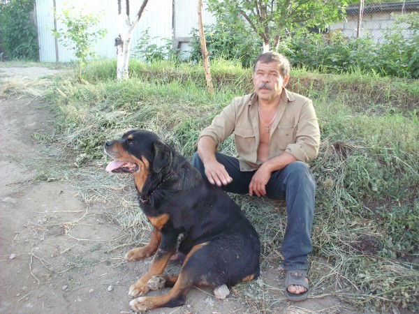 Александр Бондарев