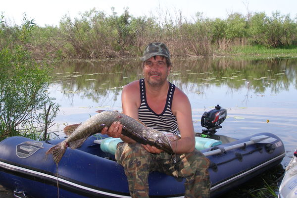 Александр Евсельев