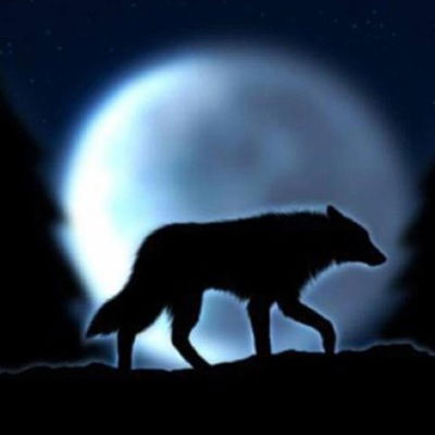 Никита Коряков