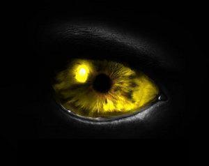 Айрат Фассалов