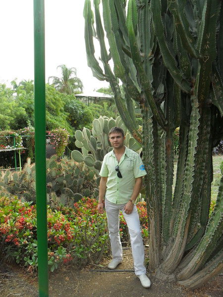 Дмитрий Сенник