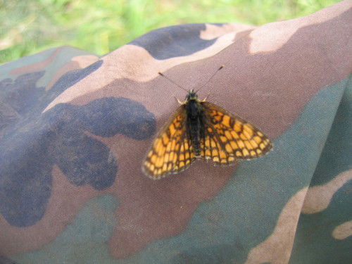 Вера Калиниченко