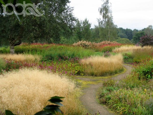 Розалия Соловьева