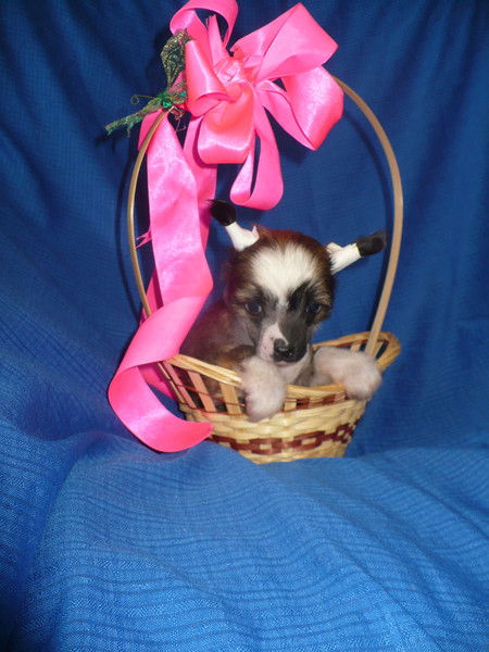 Людмила Майорова