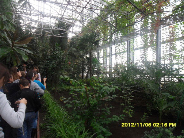 Зауре Нагметова