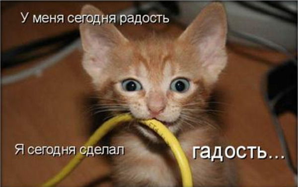 Марина Балагурчик