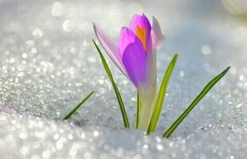 Маржан Ибатуллина