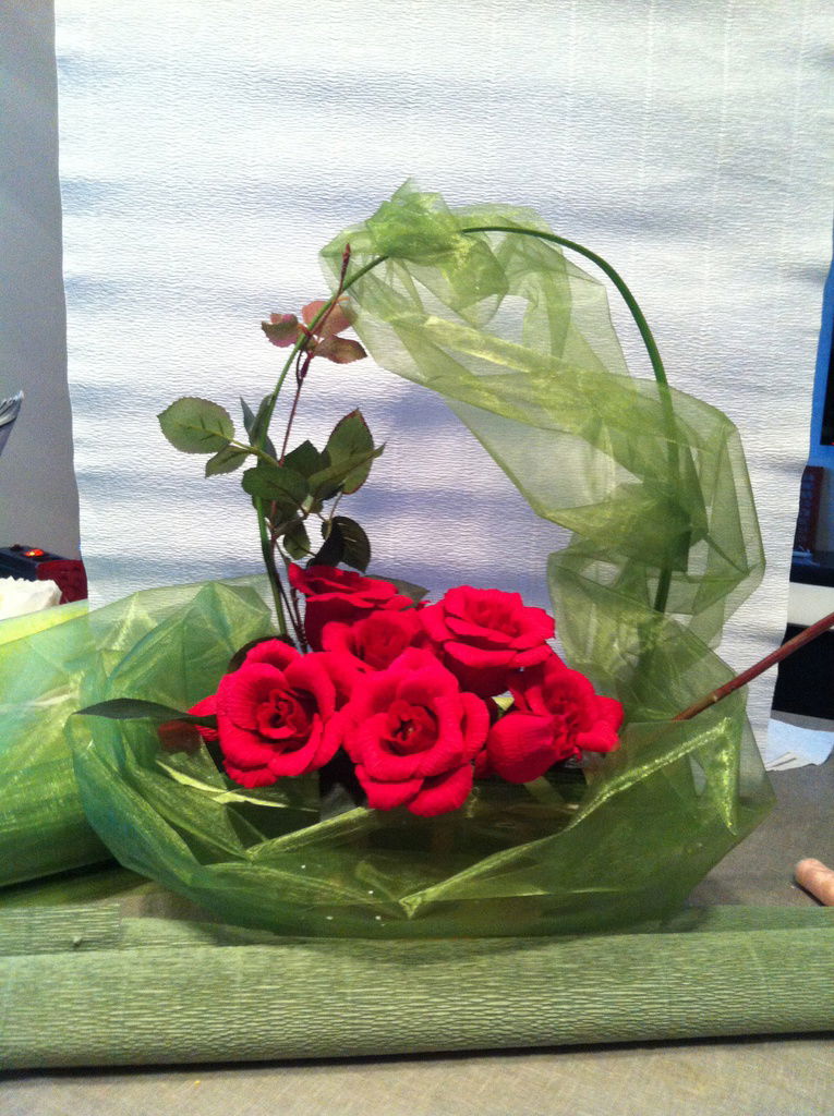 Юлия Кудряшева