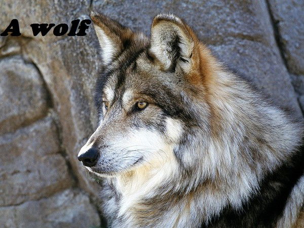 Кайрат Жуманазаров