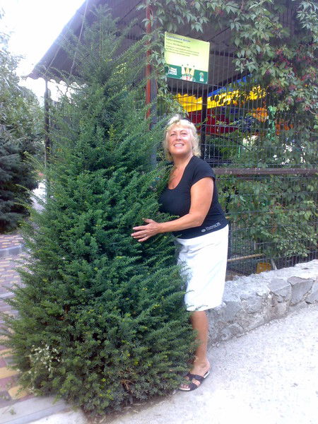 Александра Беликова