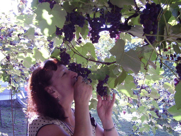 Евгения Лазарева