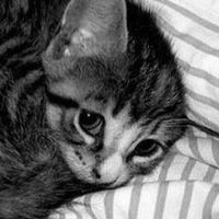 Алия Сулейманова