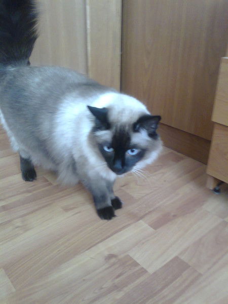 Раиса Трофимова