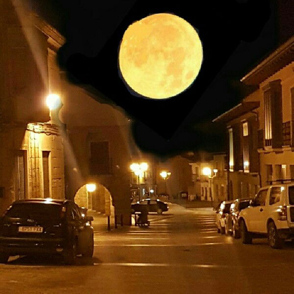 Юлия Бунина