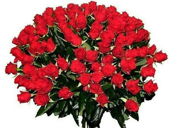 Айгуль Таскинбаева