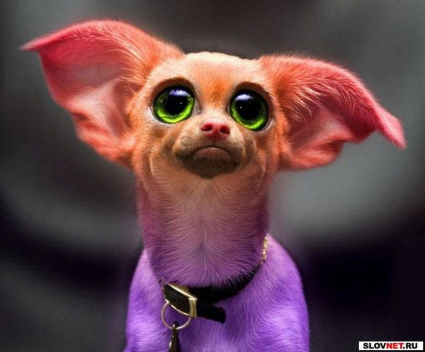 Светлана Иванова