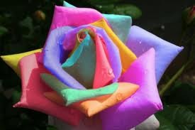 Бакшагул Сейткеменова