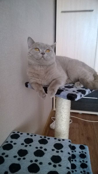 Иришка Корнилова