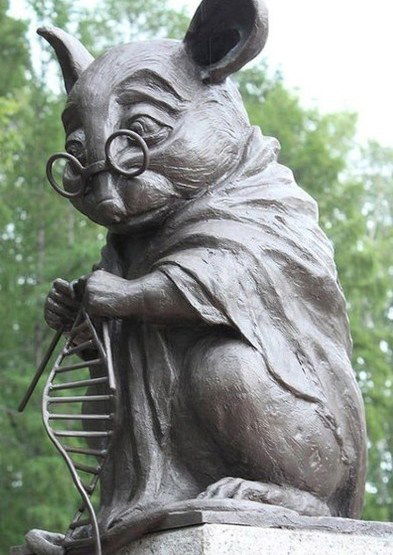 Камиль Салахутдинов