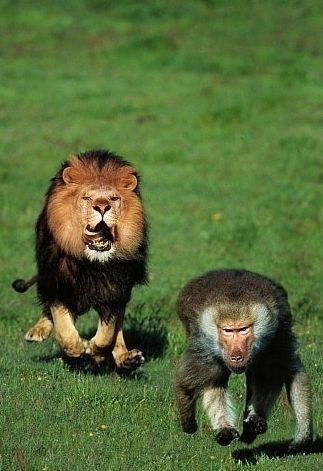 Костя Хабаров