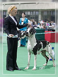 Евгений Зазулин