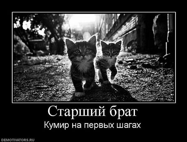 Miraaaas.. . Sagat.. .