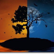 Вячеслав Георгийчук