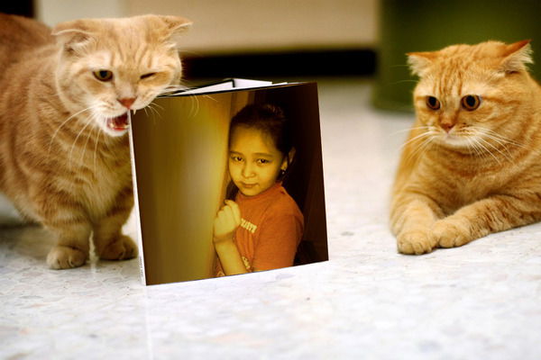 Аружан Маханова