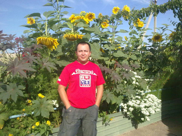 Дидар Доспаев