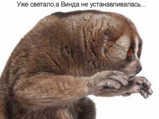 Игорь Лисин