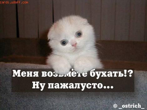 Александр Полосков