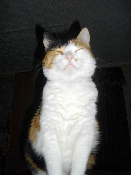 Евгений Рокочук