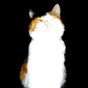 Евгений Рокочук