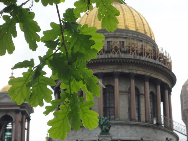 Наталья Мазина